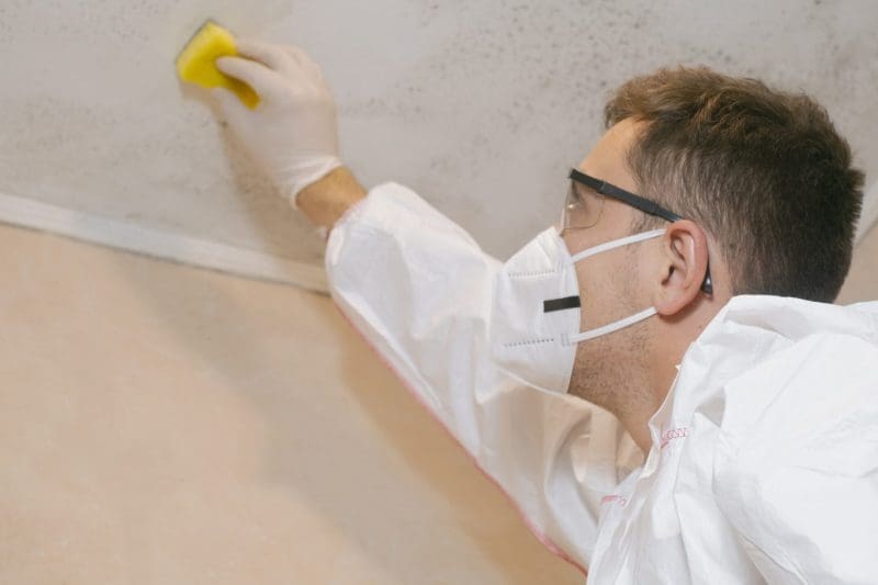 Person cleaning mold from a ceiling while wearing protective gear.