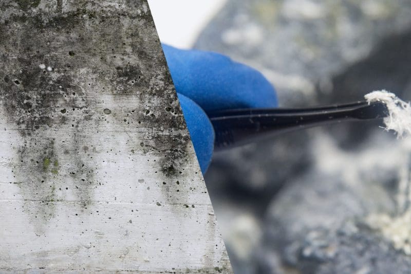 Concrete surface with visible mold and gloved hand holding tool for testing.