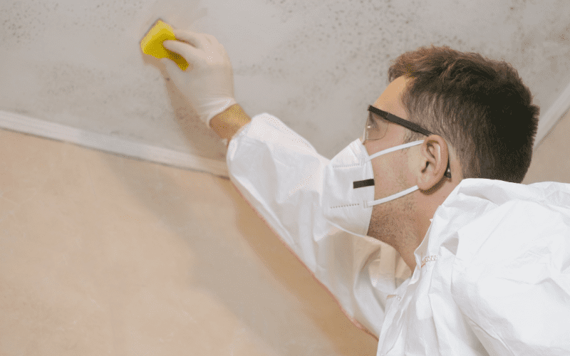 Cleaning mold from ceiling with sponge, wearing protective gear.