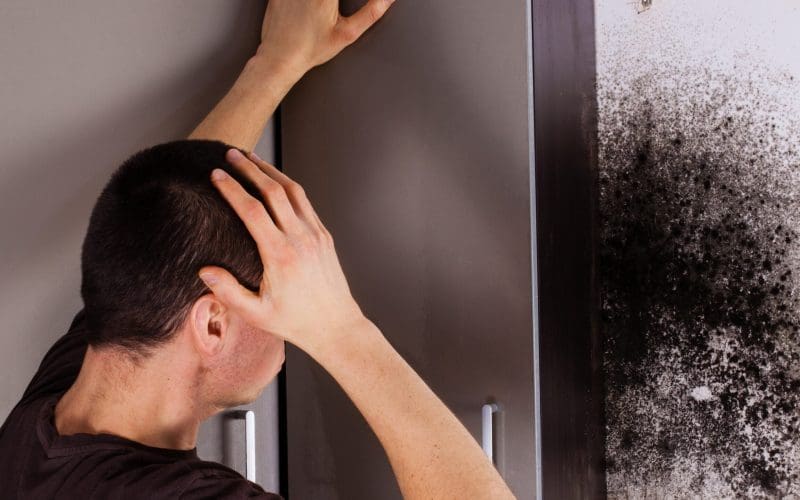 Person examining mold growth on wall near cabinet.